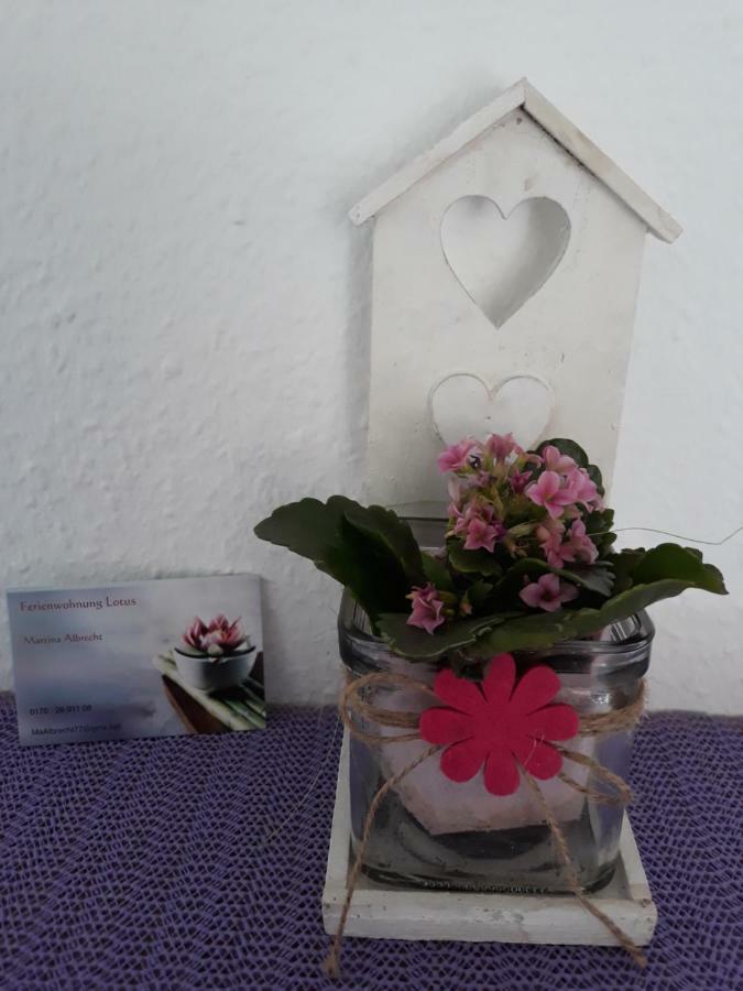 Apartamento Lotus Bad Bellingen Exterior foto